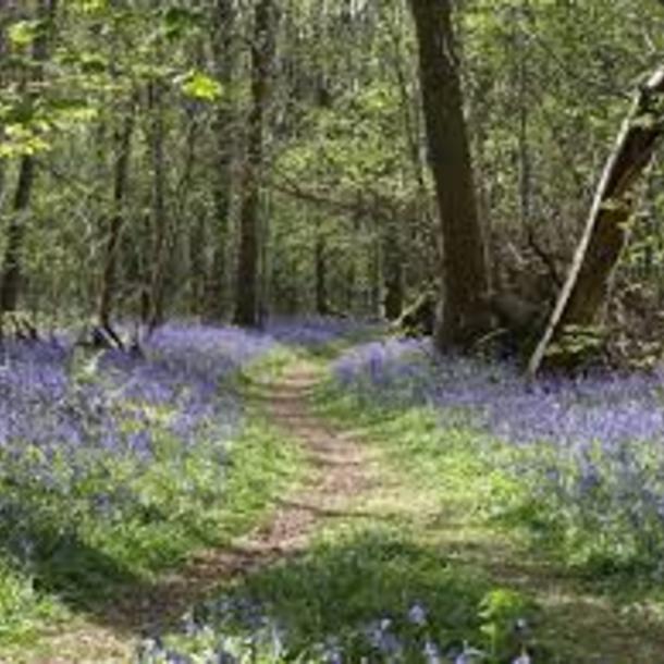 Ateliers mois de la nature